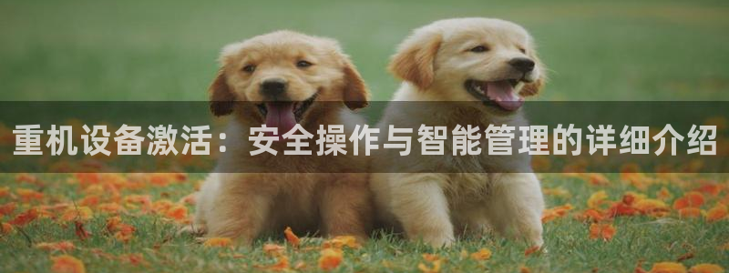 天宏 娱乐属于什么平台