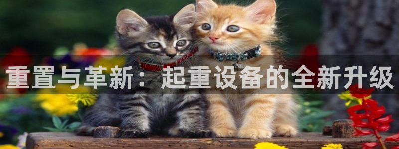 秦皇岛天宏娱乐会所电话