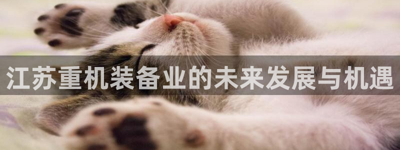 天宏娱乐巴扎黑