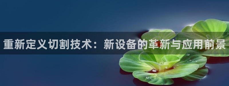 天宏娱乐直播在线观看免费