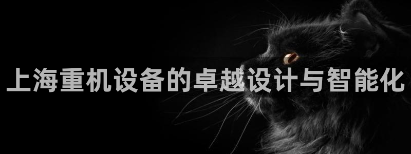 天宏娱乐是国企吗