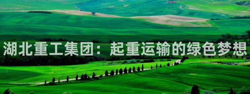 天宏娱乐秦叔老婆