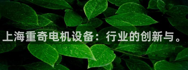 天宏娱乐官网平台