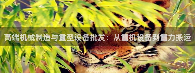 天宏娱乐套钱