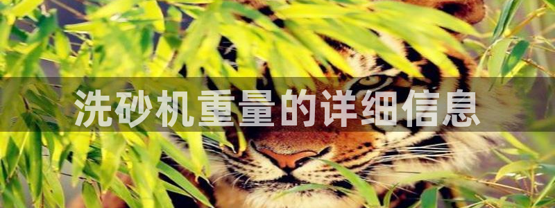天宏娱乐福叔