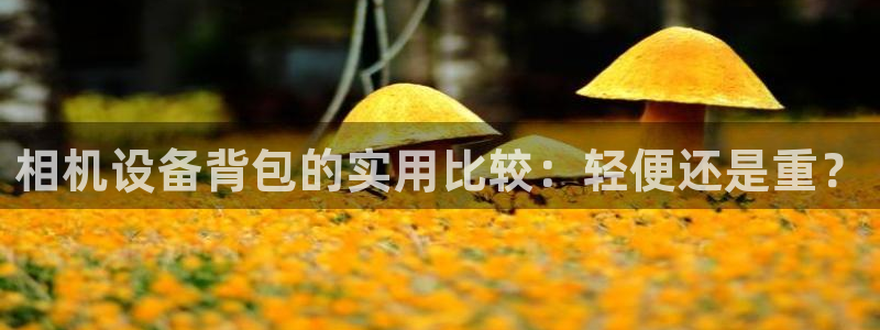 天宏娱乐32937股东