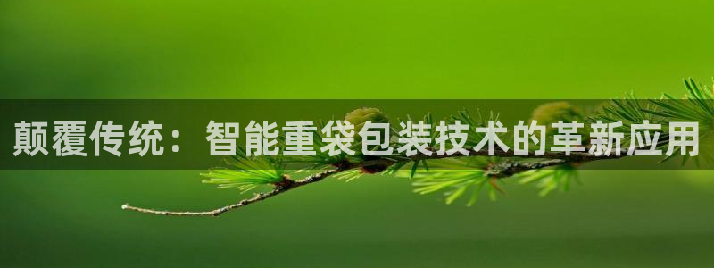 天宏娱乐宋善良：颠覆传统：智能重袋包装技术的革新应用