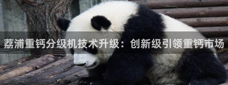 天宏娱乐老男孩吴叔