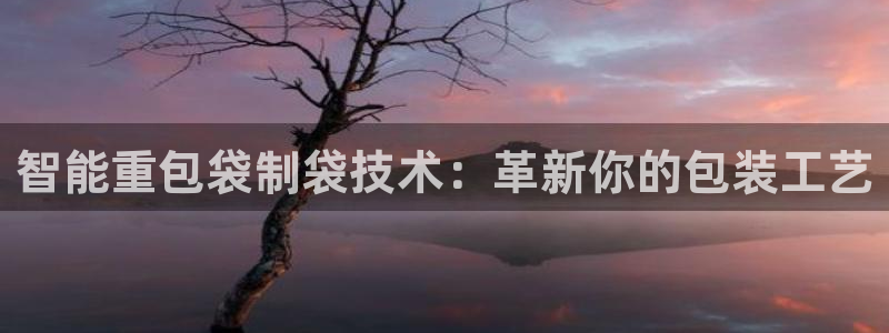 天宏娱乐天跃传媒招聘：智能重包袋制袋技术：革新你的包装工艺