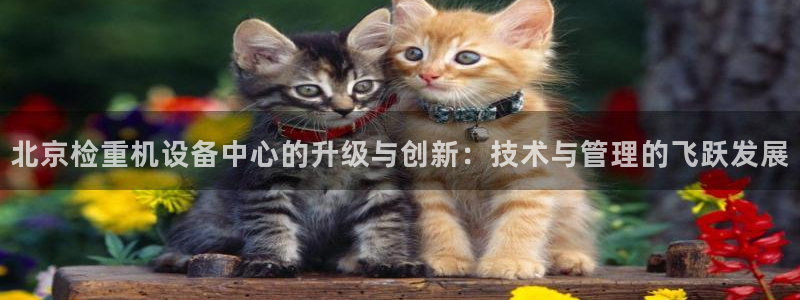 天宏娱乐小号：北京检重机设备中心的升级与创新：技术与管理的飞
