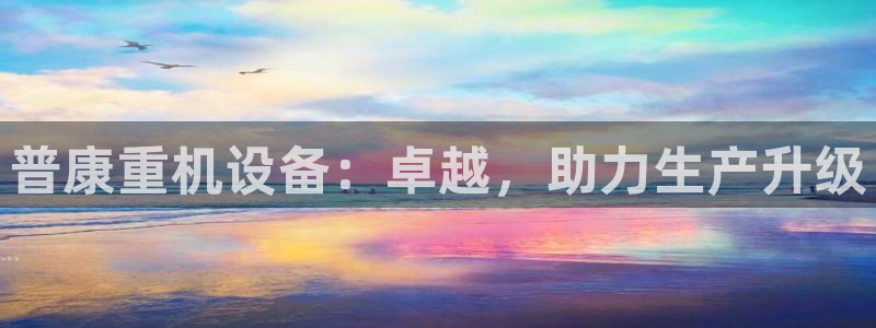 天宏娱乐指尖会：普康重机设备：卓越，助力生产升级