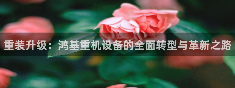 天宏娱乐的秦叔：重装升级：鸿基重机设备的全面转型与革新之路
