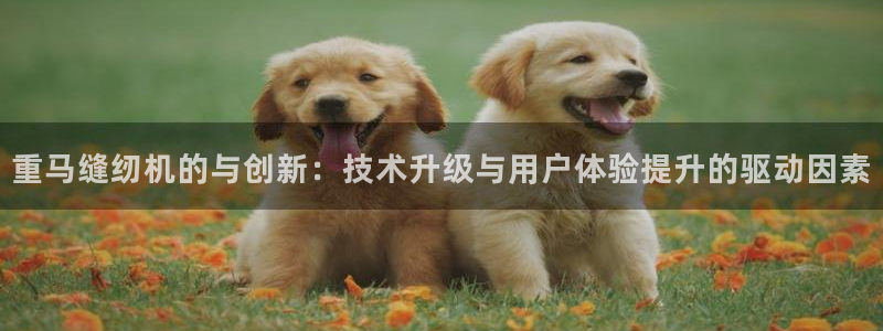 天宏娱乐32937股东：重马缝纫机的与创新：技术升级与用户体