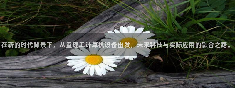 天宏娱乐q32937