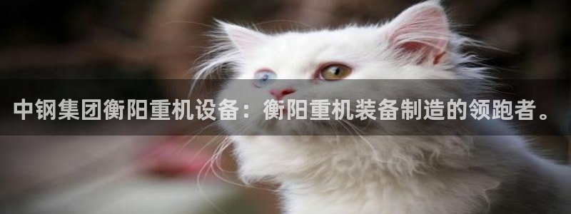 天宏娱乐直播间官网