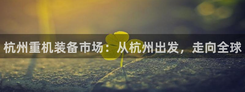 天宏娱乐最新更新：杭州重机装备市场：从杭州出发，走向全球