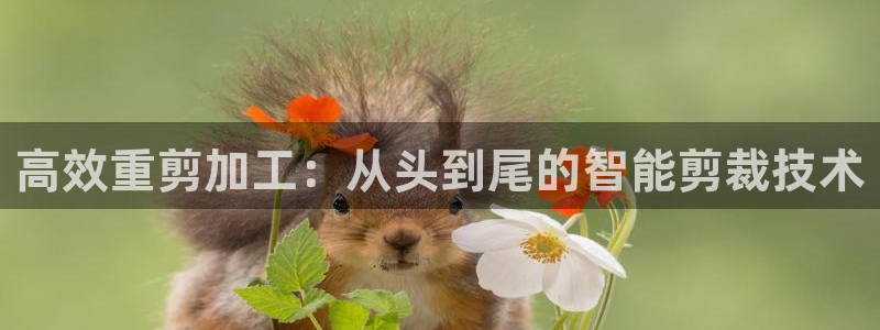天宏娱乐平台下载：高效重剪加工：从头到尾的智能剪裁技术