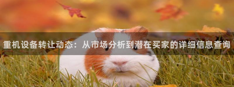 天宏娱乐q34189