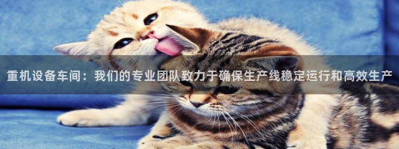 天宏娱乐旗下的网红