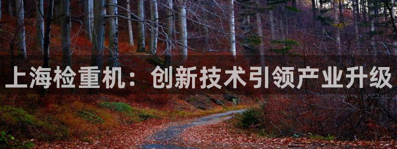 天宏娱乐小刘叔