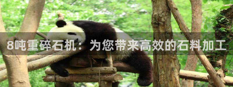 天宏娱乐星歌总部