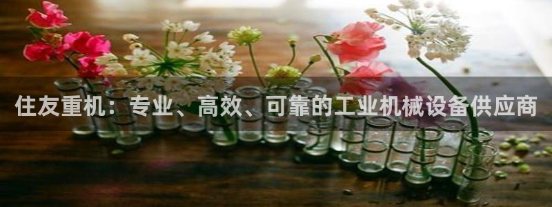 天宏娱乐h 判官