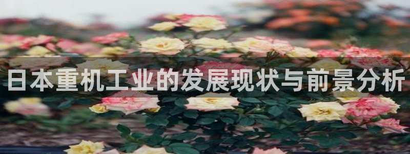 天宏娱乐董事长