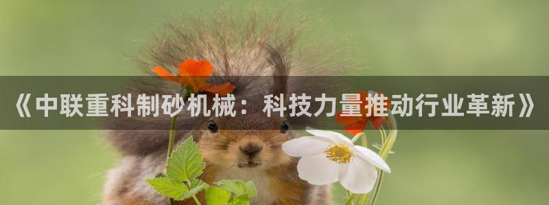 天宏娱乐大叔团成员