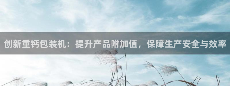 天宏娱乐app：创新重钙包装机：提升产品附加值，保障生产安全