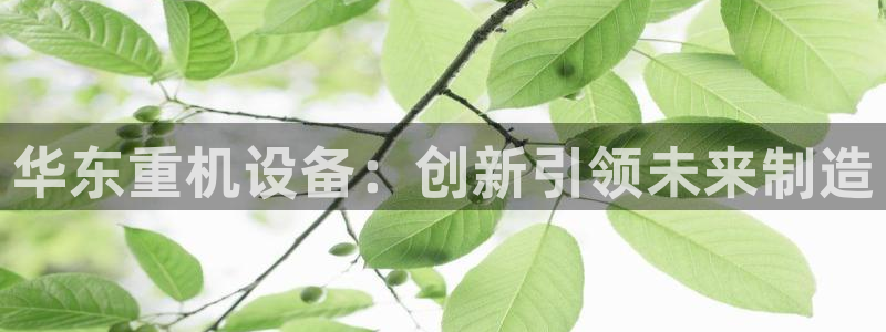 天宏娱乐团购活动时间：华东重机设备：创新引领未来制造