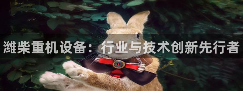 天宏娱乐66