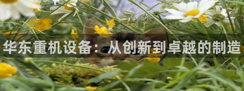 天宏娱乐小号官网首页