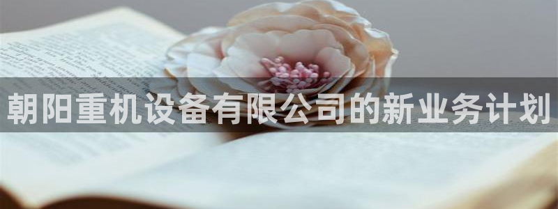 天宏娱乐男神：朝阳重机设备有限公司的新业务计划