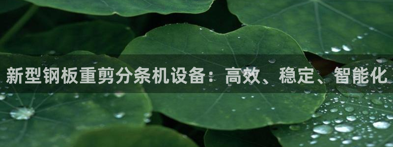 扬州天宏娱乐公司：新型钢板重剪分条机设备：高效、稳定、智能化