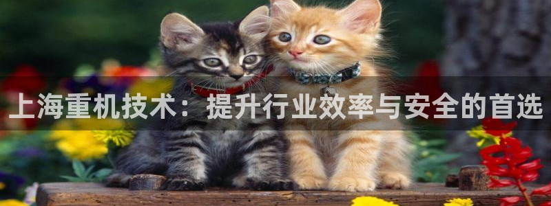 东莞天宏娱乐：上海重机技术：提升行业效率与安全的首选