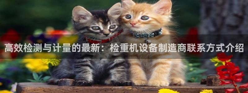 秦皇岛天宏娱乐：高效检测与计量的最新：检重机设备制造商联系方