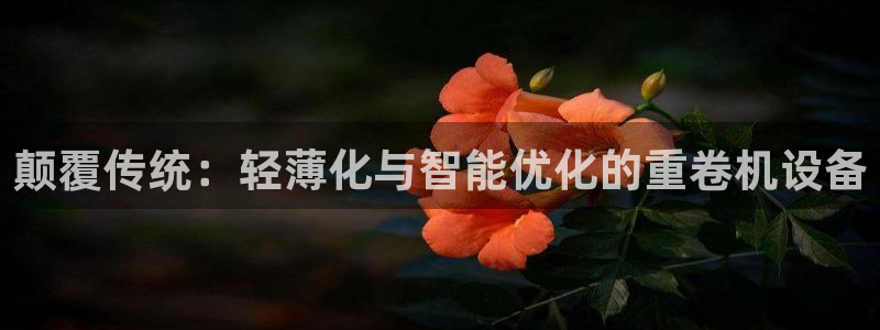天宏娱乐河源店在哪里：颠覆传统：轻薄化与智能优化的重卷机设备