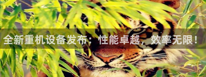 天宏娱乐 福星平台：全新重机设备发布：性能卓越，效率无限！