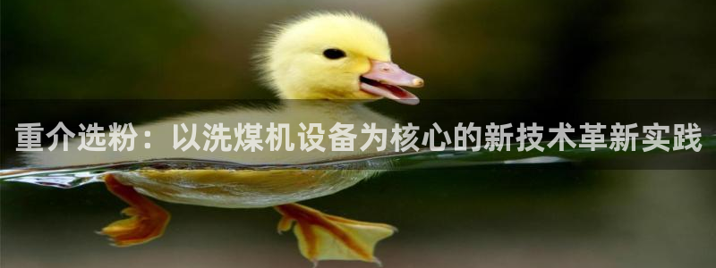 天宏娱乐天府：重介选粉：以洗煤机设备为核心的新技术革新实践