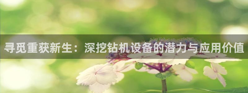 东莞天宏娱乐：寻觅重获新生：深挖钻机设备的潜力与应用价值