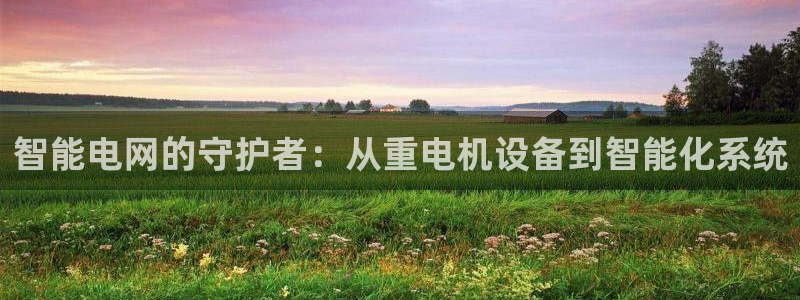 天宏娱乐管a事443593：智能电网的守护者：从重电机设备到