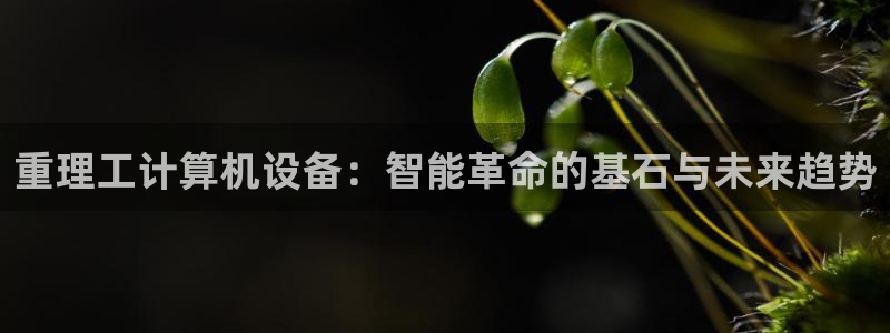 秦皇岛天宏娱乐：重理工计算机设备：智能革命的基石与未来趋势