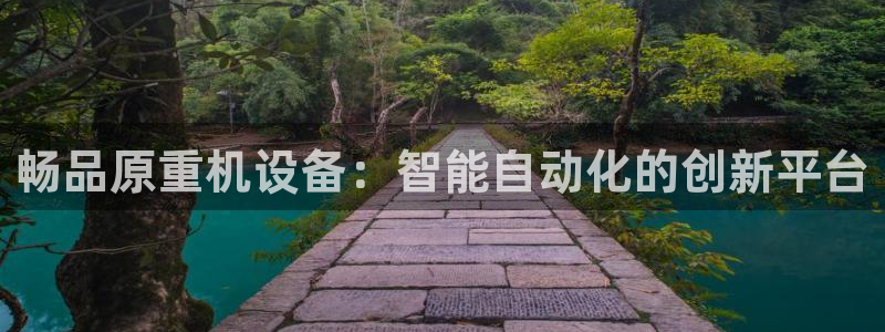 天宏娱乐k 判官：畅品原重机设备：智能自动化的创新平台