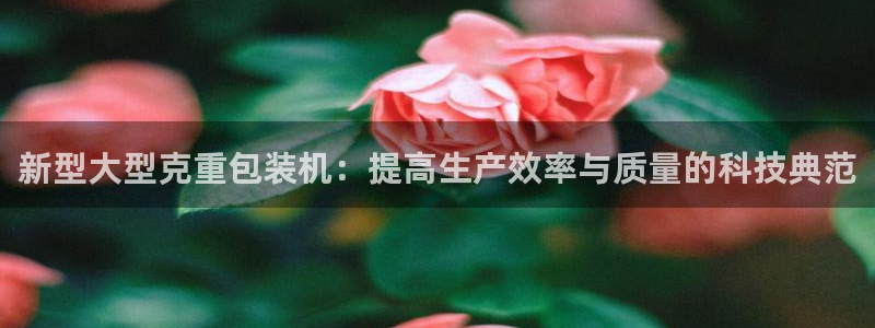 天宏娱乐吴皇：新型大型克重包装机：提高生产效率与质量的科技典