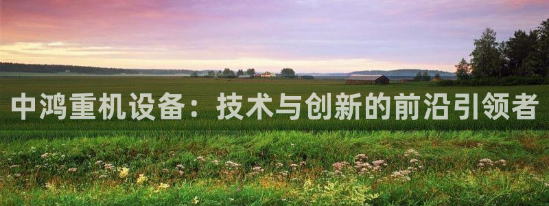 天玺娱乐彩票宏利团队：中鸿重机设备：技术与创新的前沿引领者