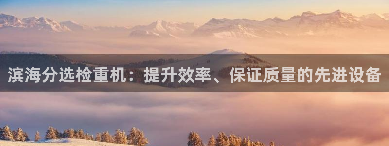 天宏娱乐河源店：滨海分选检重机：提升效率、保证质量的先进设备