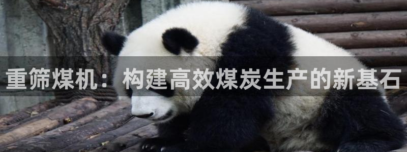 天宏娱乐登陆：重筛煤机：构建高效煤炭生产的新基石