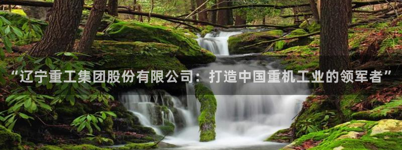 天宏 娱乐属于什么平台