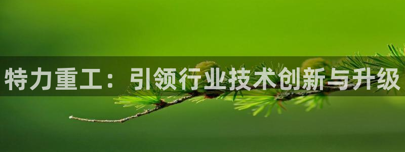 天宏娱乐平台官网：特力重工：引领行业技术创新与升级