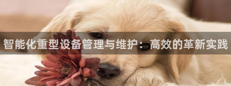 常平天宏娱乐会所电话